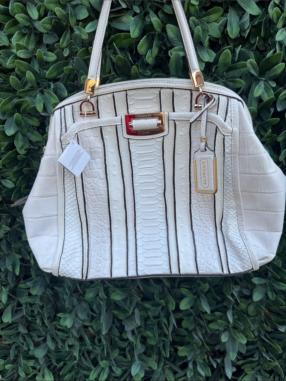 Coach Madison Domed Satchel White Exotic-stripe leather with gold hardware - NWT